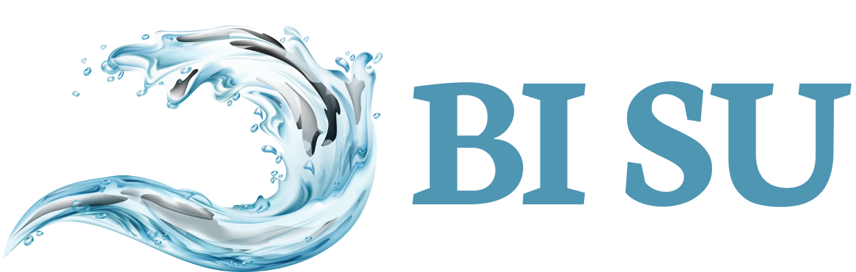 BI SU