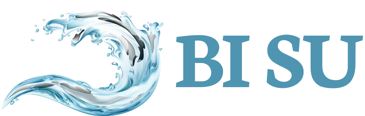 BI SU